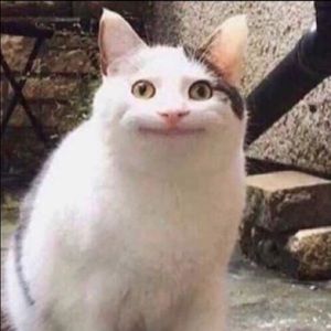 Meet your Posher, Malaysia